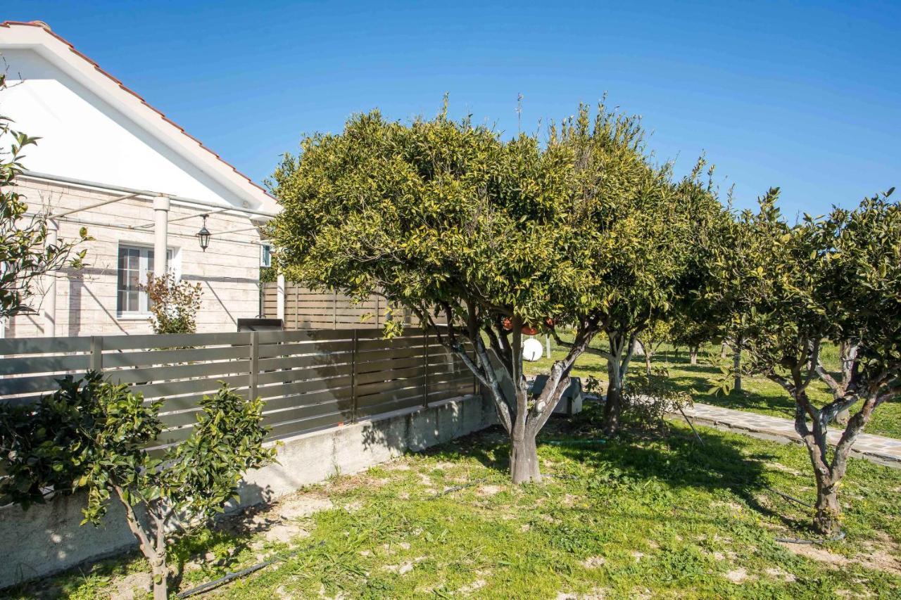 Faliraki Citrus Garden Εξωτερικό φωτογραφία